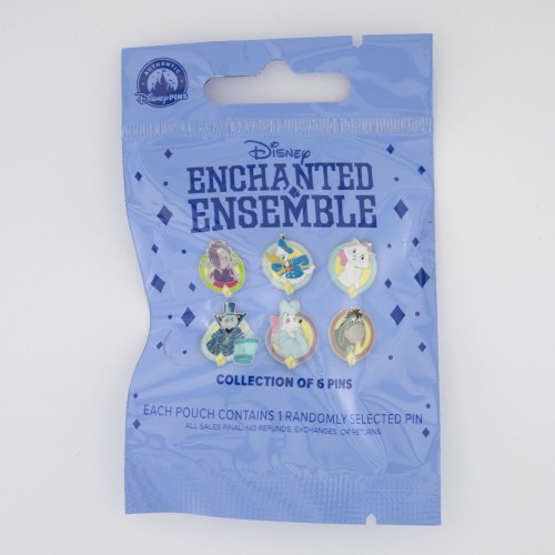 Enchanted Ensemble Mystery Bag - Light Blue