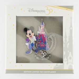 Disneyland Paris 30 Years Limited Edition 700 Mickey and Castle
