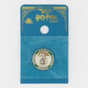 Harry Potter - Slytherin House Pin