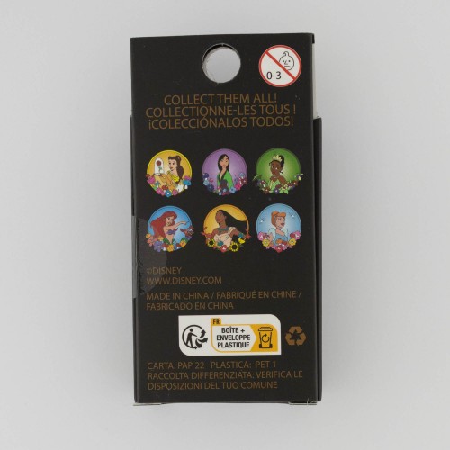 Loungefly Mystery Box - Princess Stained Glass